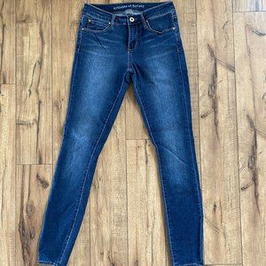 ARTICLES OF SOCIETY | SKINNY JEANS | SIZE 26